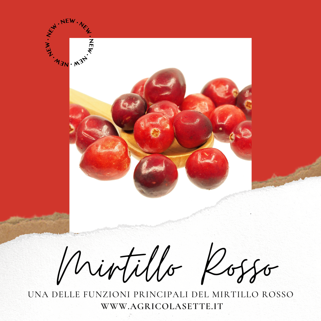 Mirtillo Rosso