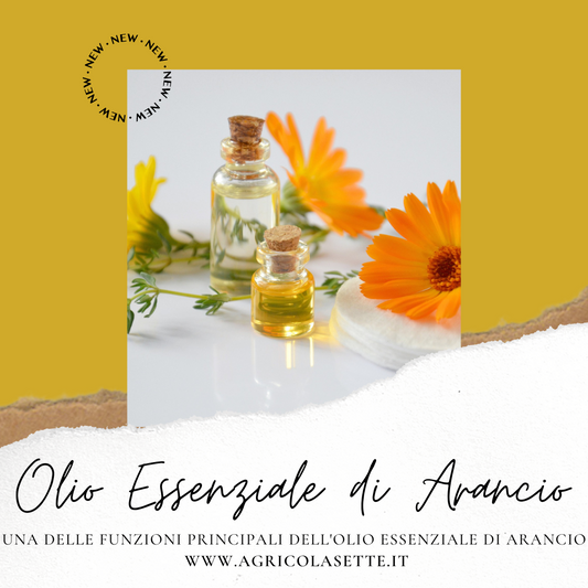 Olio essenziale di Arancio