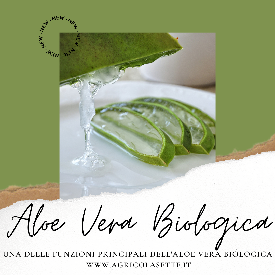 Aloe Vera Biologica