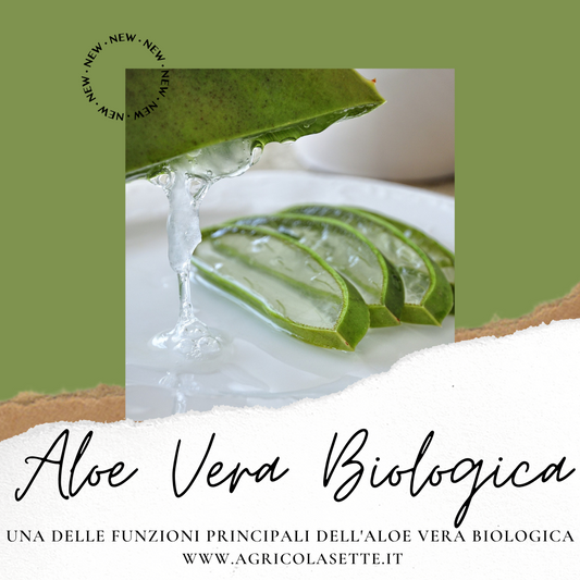 Aloe Vera Biologica