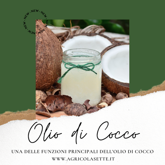Olio di Cocco