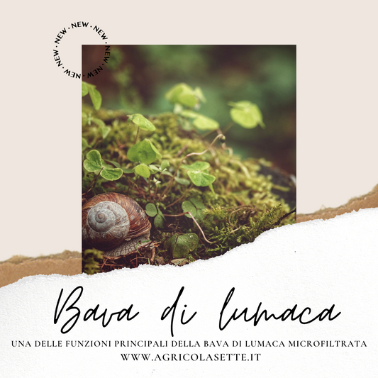 Le funzioni della bava di lumaca microfiltrata
