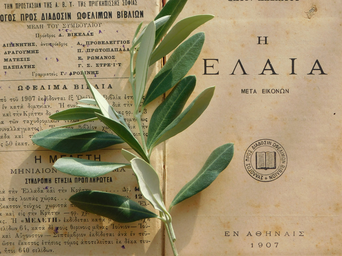 Olio extra Vergine D'Oliva