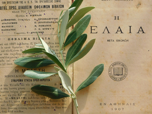 Olio extra Vergine D'Oliva
